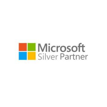 partner-ms-silver