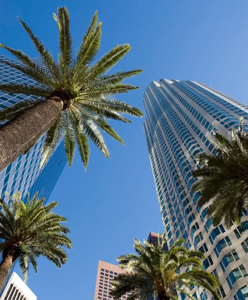 img sg3 managed it services los angeles r1